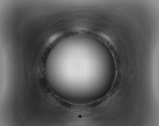 X0000086800871200704201901