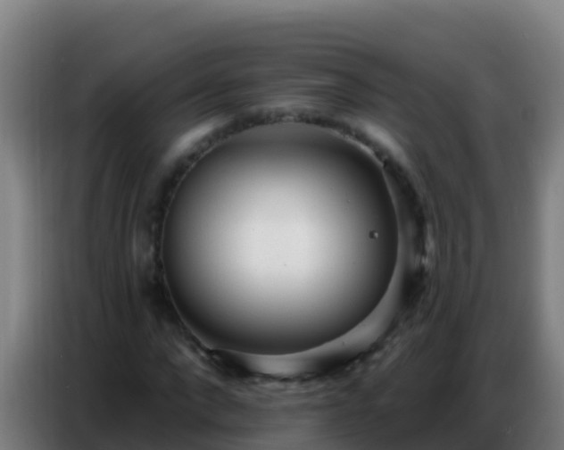 X0000086800872200704201901