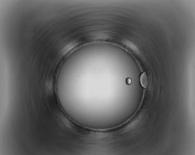 X0000086800873200704201901