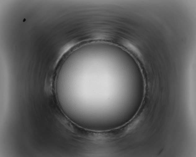 X0000086800875200704201901