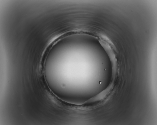 X0000086800876200704201901