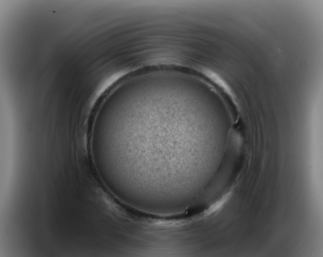 X0000086800877200704201901