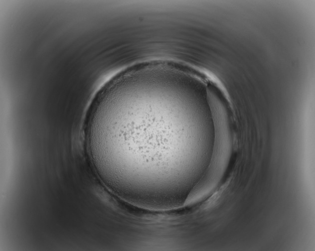 X0000086800879200704201901