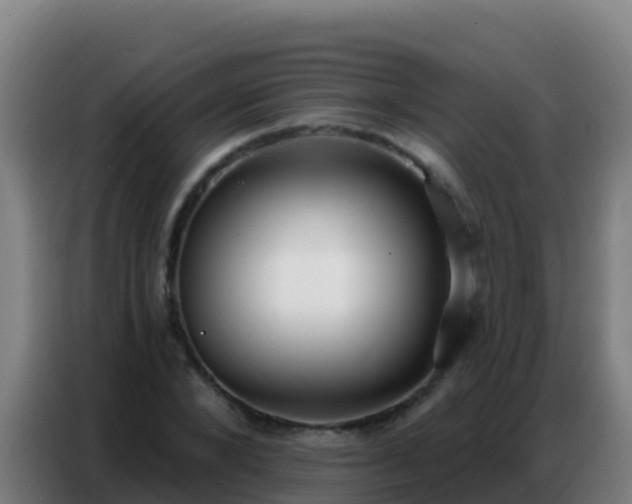 X0000086800880200704201901