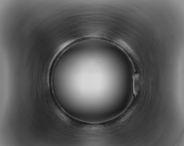 X0000086800884200704201901