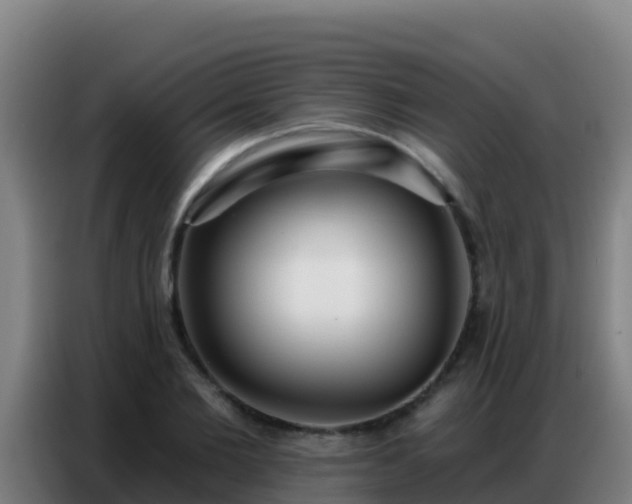 X0000086800885200704201901