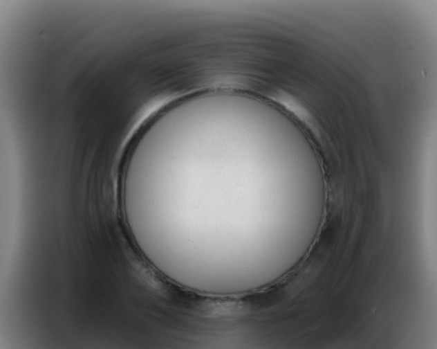 X0000086800886200704201901