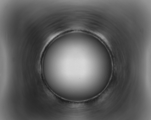 X0000086800887200704201901
