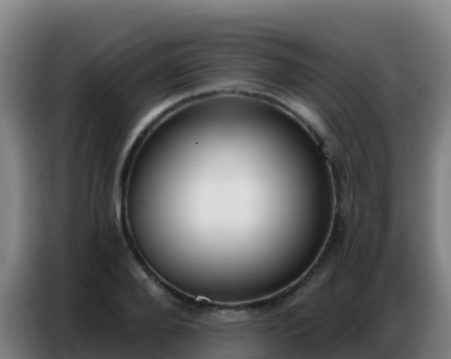 X0000086800888200704201901