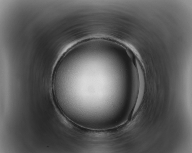 X0000086800895200704201901