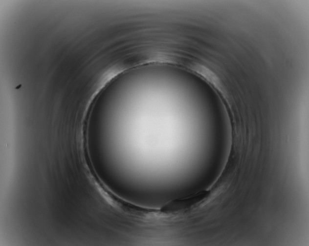 X0000086800898200704201901