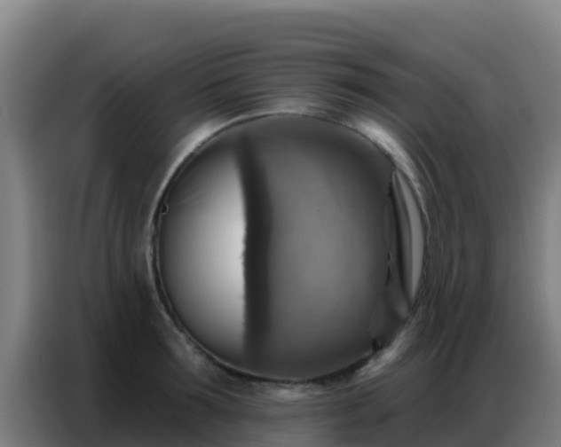 X0000086800899200704201901