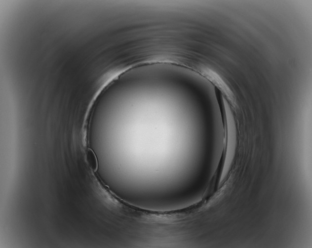 X0000086800900200704201901