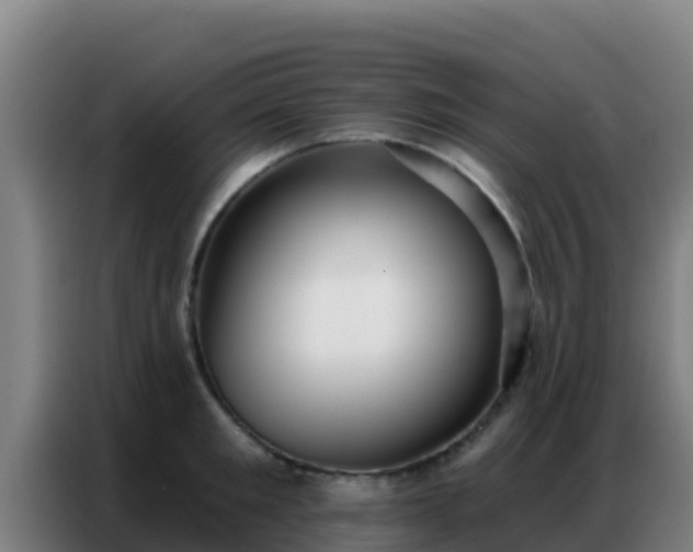 X0000086800901200704201901