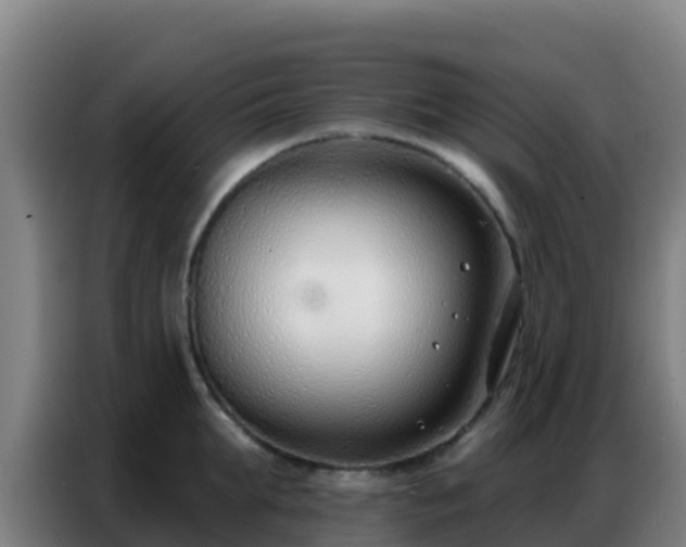 X0000086800903200704201901