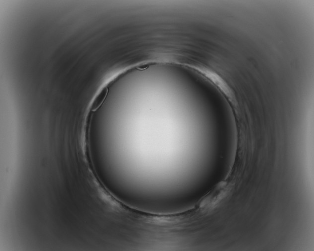X0000086800904200704201901