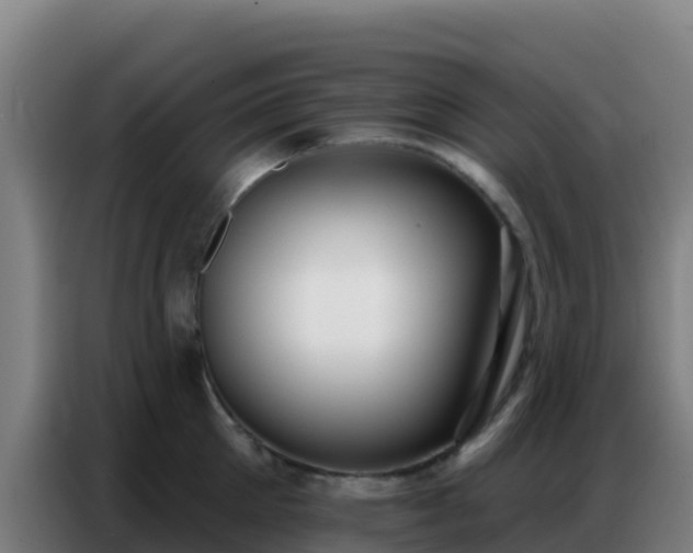 X0000086800905200704201901