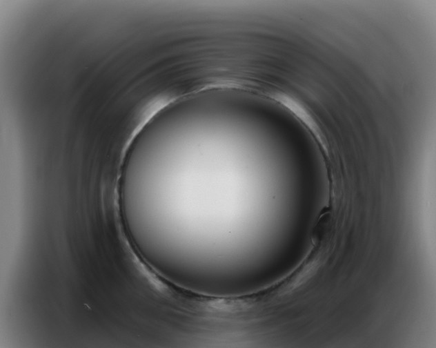 X0000086800906200704201901