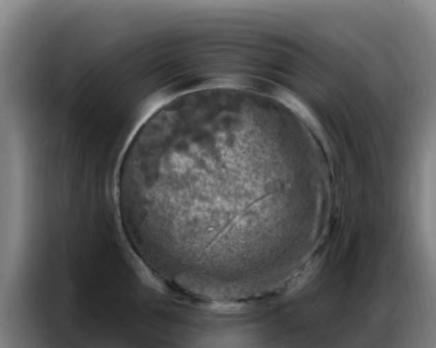 X0000086800907200704201901