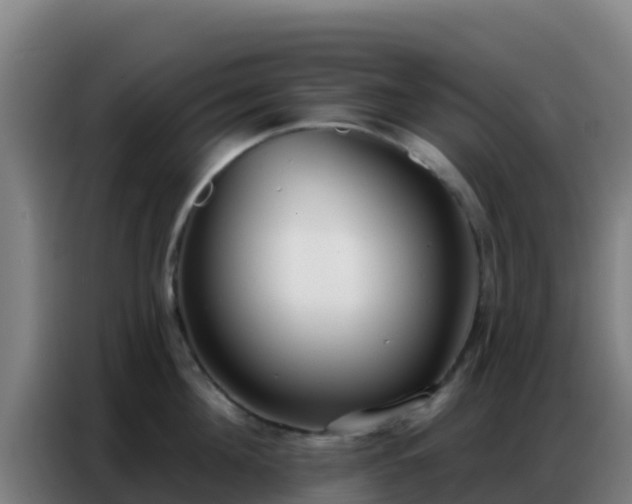 X0000086800908200704201901