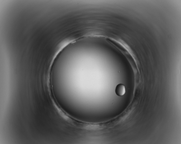 X0000086800909200704201901