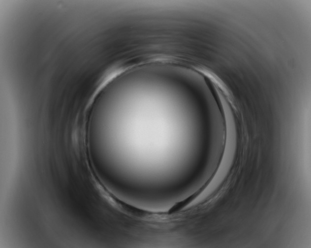 X0000086800910200704201901