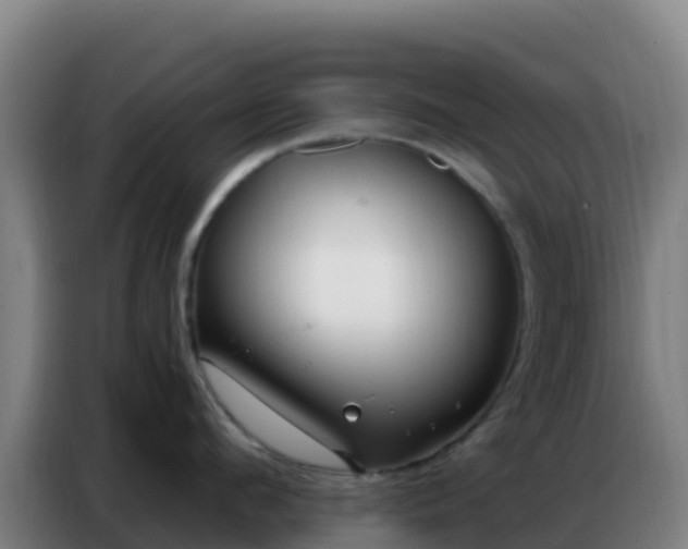 X0000086800912200704201901