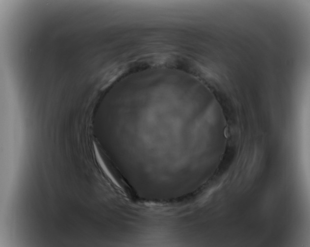 X0000086800913200704201900