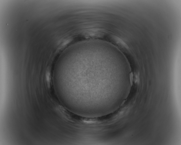 X0000086800915200704201900