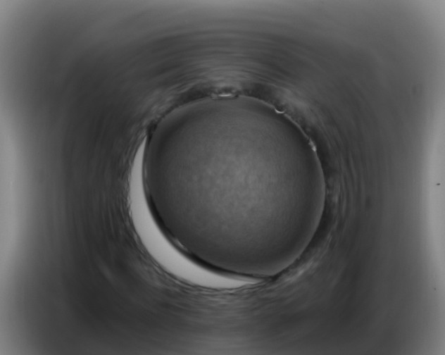 X0000086800916200704201900