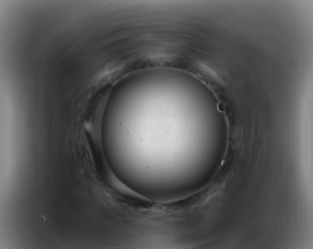 X0000086800917200704201900