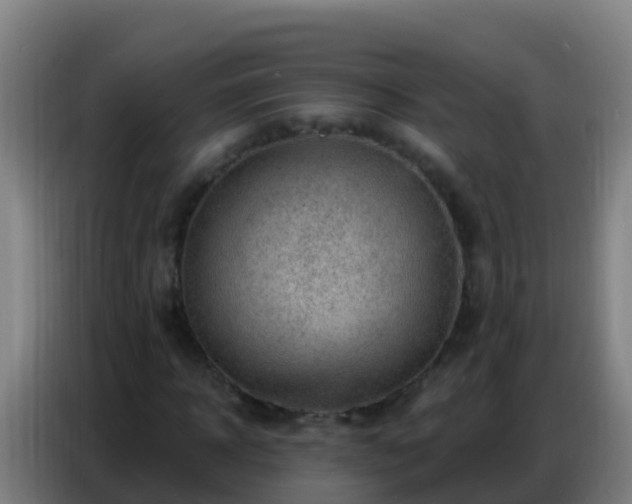 X0000086800918200704201900