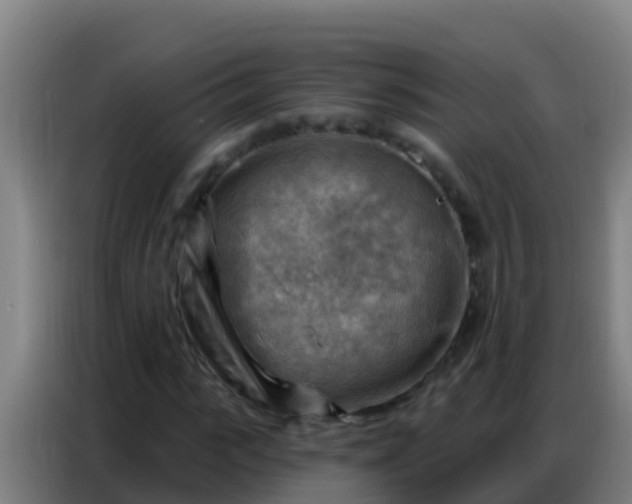 X0000086800919200704201900