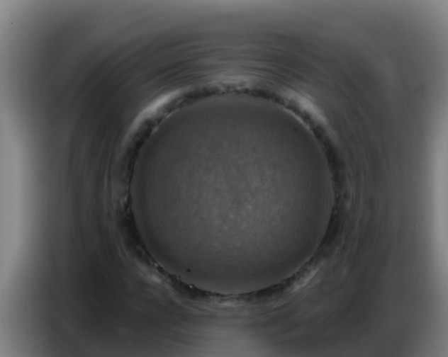 X0000086800920200704201900