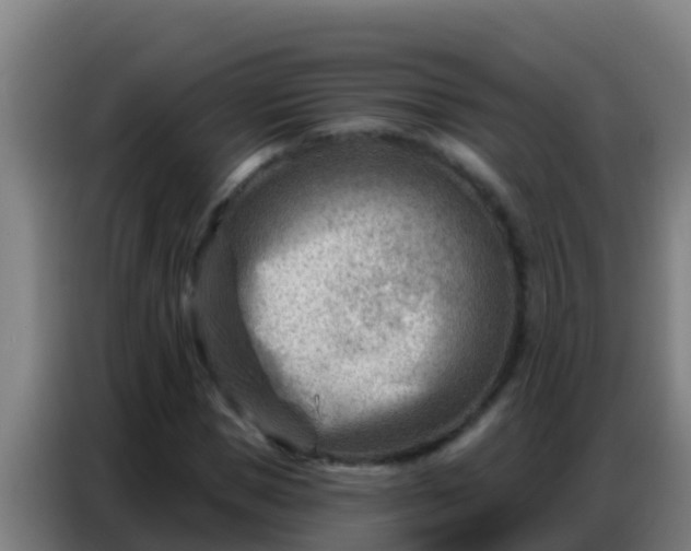 X0000086800921200704201900