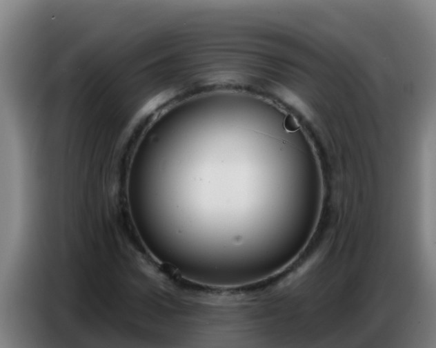 X0000086800922200704201900