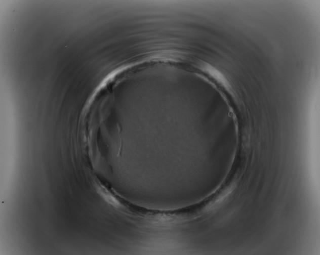 X0000086800923200704201900