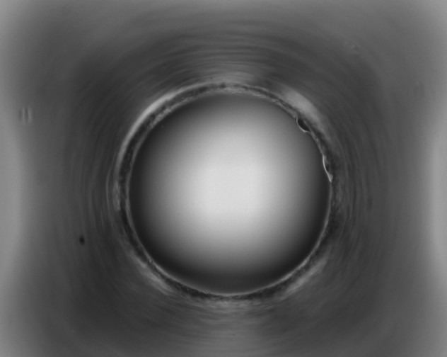 X0000086800924200704201900