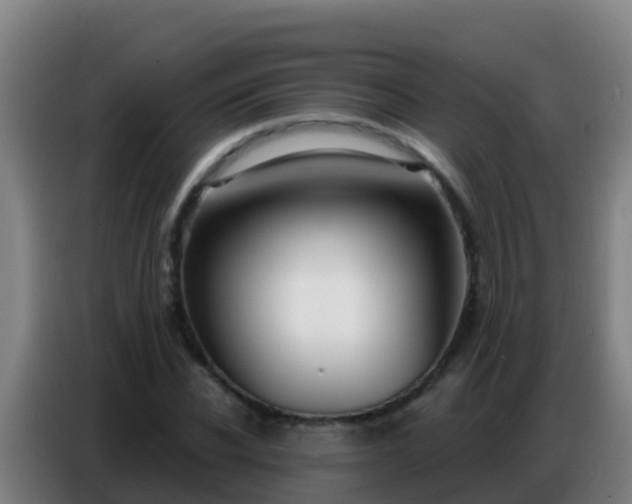 X0000086800926200704201900