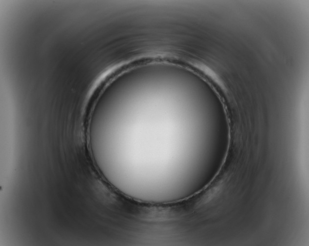 X0000086800927200704201900