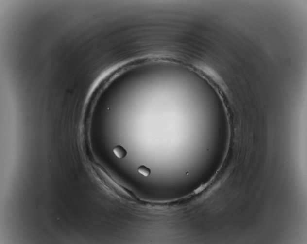 X0000086800928200704201900