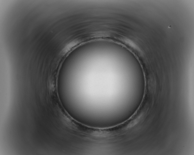 X0000086800929200704201900