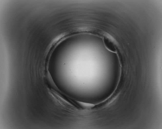 X0000086800930200704201900