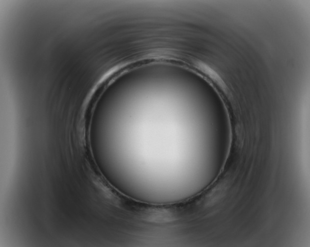 X0000086800931200704201900