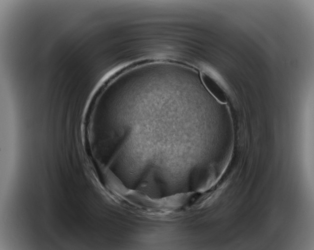 X0000086800932200704201900
