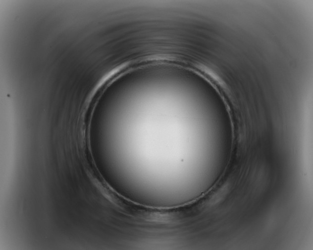 X0000086800933200704201900
