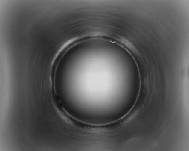 X0000086800934200704201900