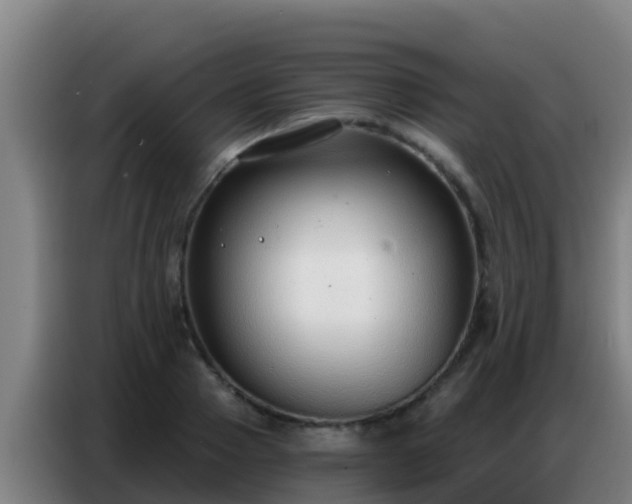 X0000086800937200704201900