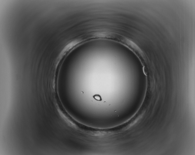 X0000086800938200704201900
