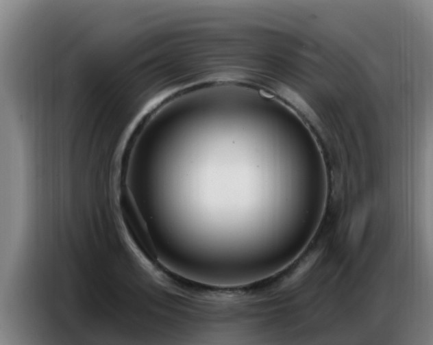 X0000086800939200704201900
